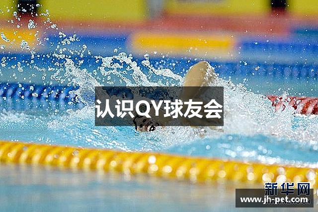 认识QY球友会